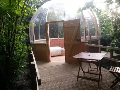 Bulle transparente au Domaine de la Boëre