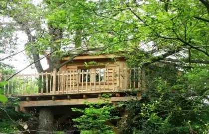 Cabane dans les arbres au Domaine de la Boëre